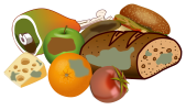 Food Waste
